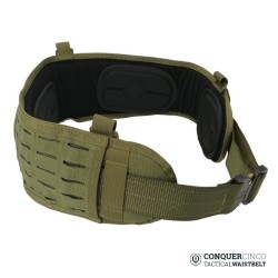 Conquer CINCO Waist Belt OD